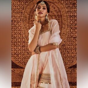 Pink Organza Embellished Kiran Lace Sultana Border Dupatta Scarf For Women